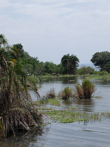 Rubondo Island National Park