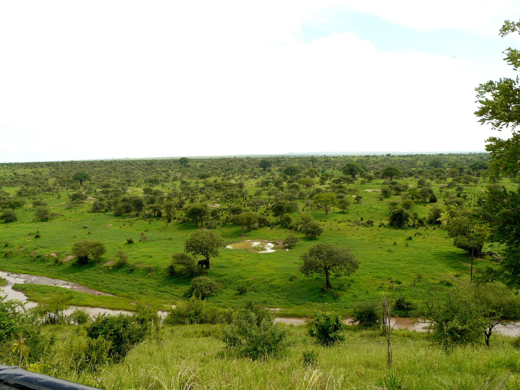 Park Narodowy Tarangire, Tanzania