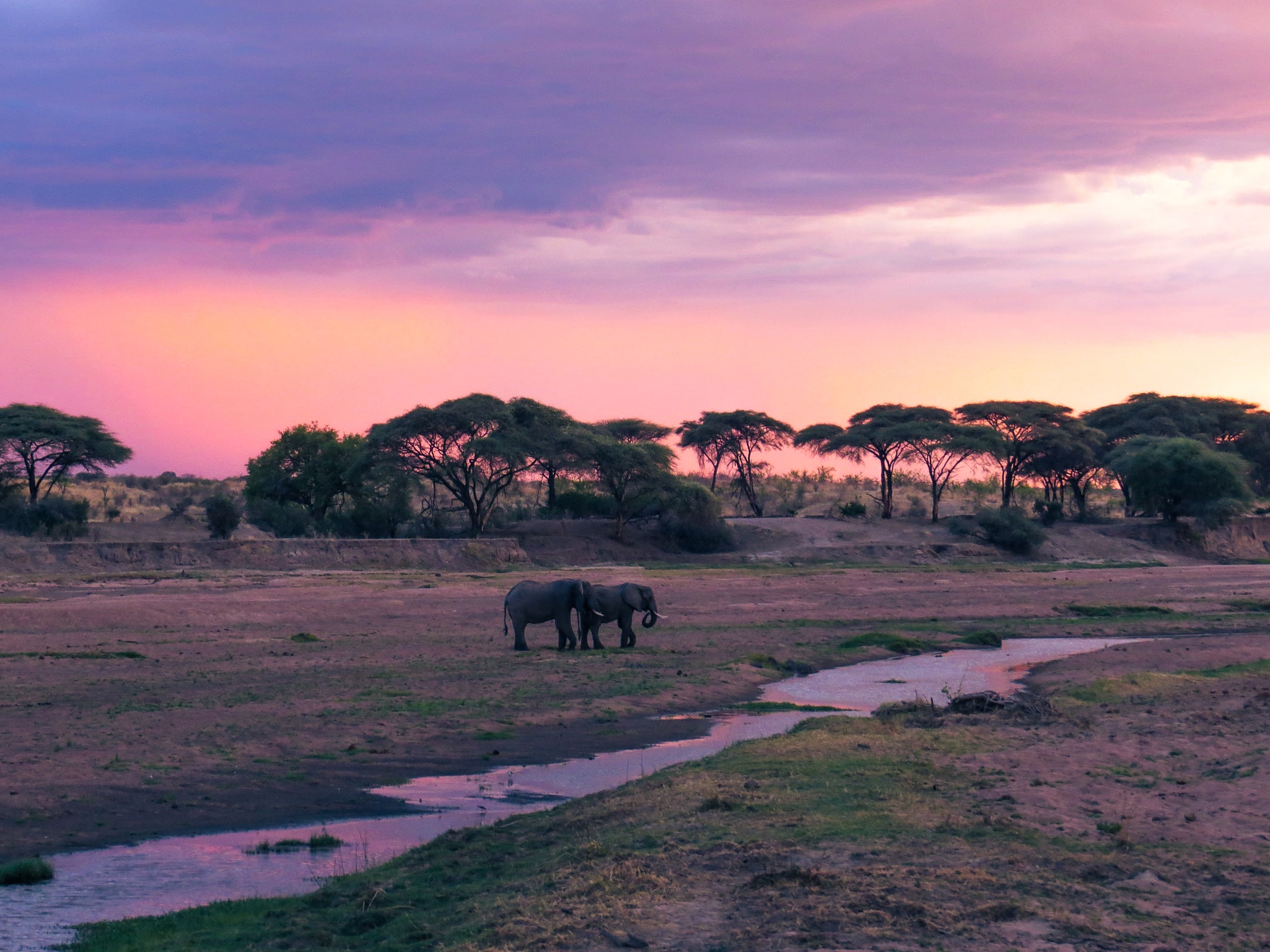 Parque nacional Ruaha, Tanzania