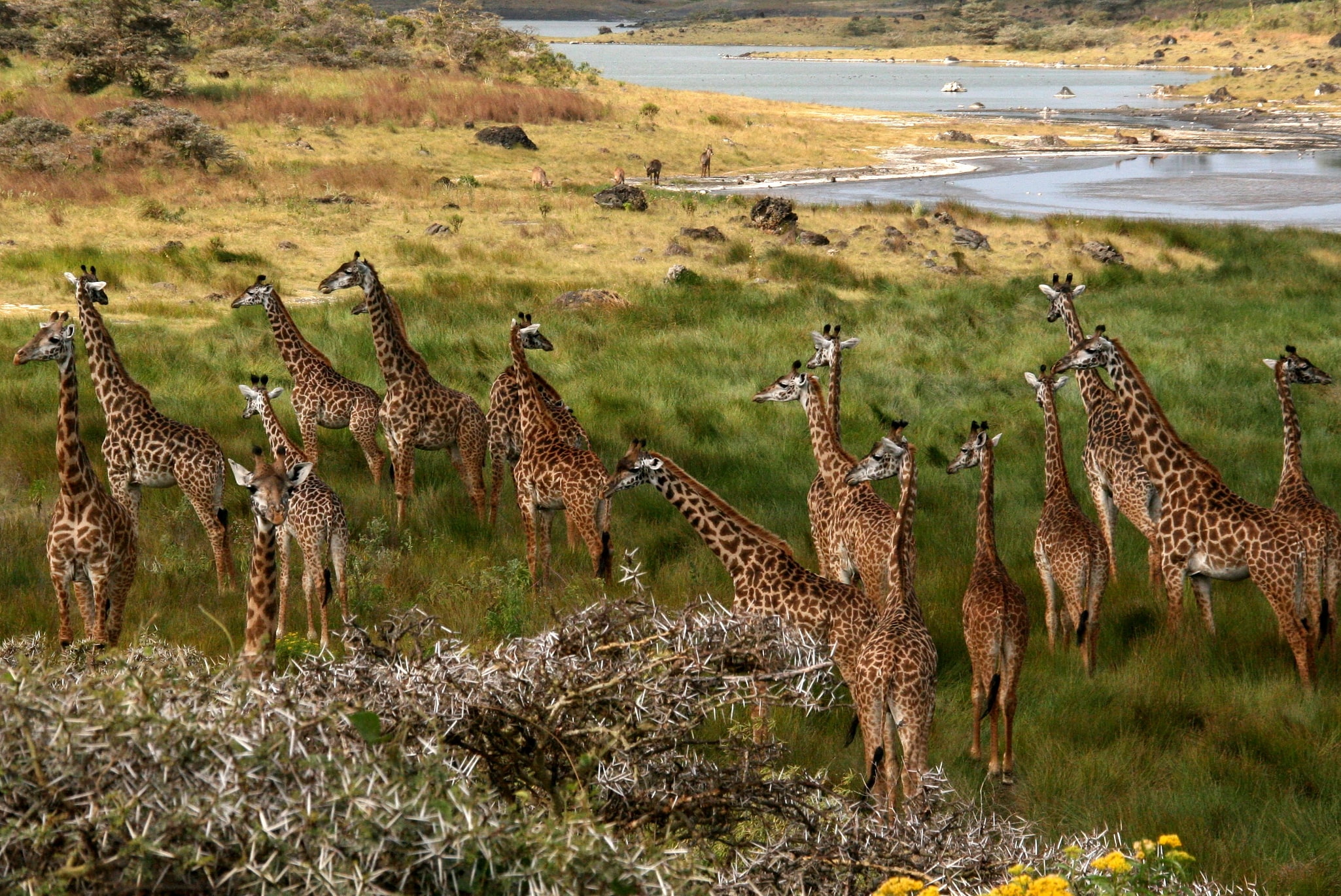 Parc national d'Arusha, Tanzanie