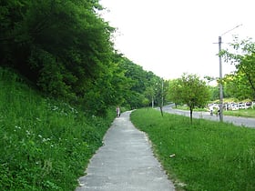 Park Leśny Zamarstynivs'kyi