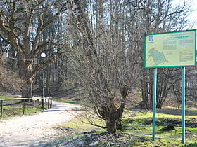 zalizni vody park lviv