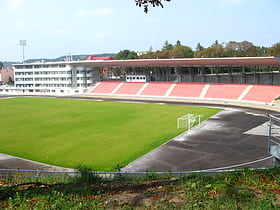Skif Stadium
