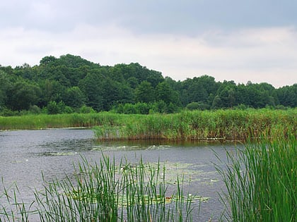 Holosiivskyi National Nature Park