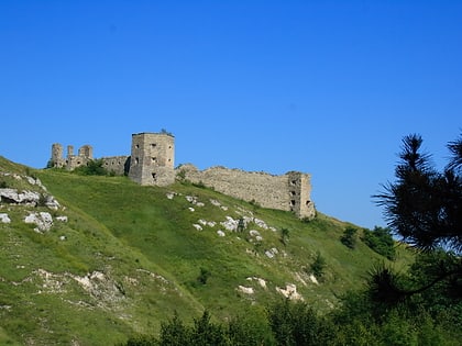 Château de Koudryntsi