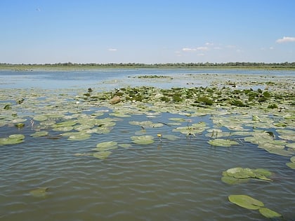 Lake Bile