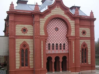 synagogue doujhorod