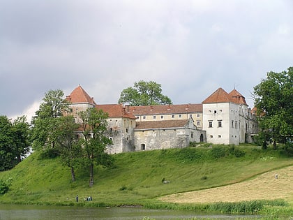 Zamek w Świrzu