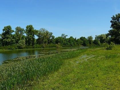 biloozerskyi national nature park