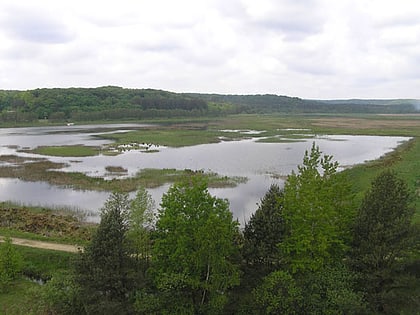Yavorivskyi National Park