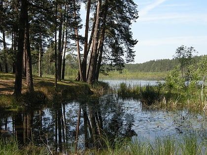 Lower Polissia National Nature Park