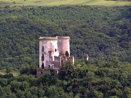 Zamek w Czerwonogrodzie