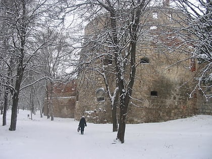 Castillo Berezhany