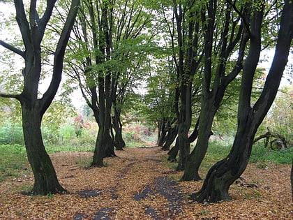 park the name of the 700year of lviv leopolis