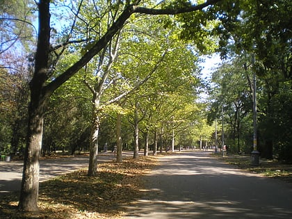 shevchenko park odesa