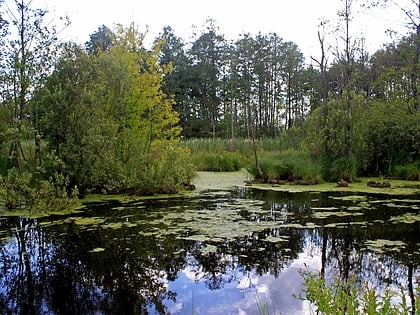 shatsky lakes