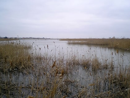 Dzhantshey Lagoon