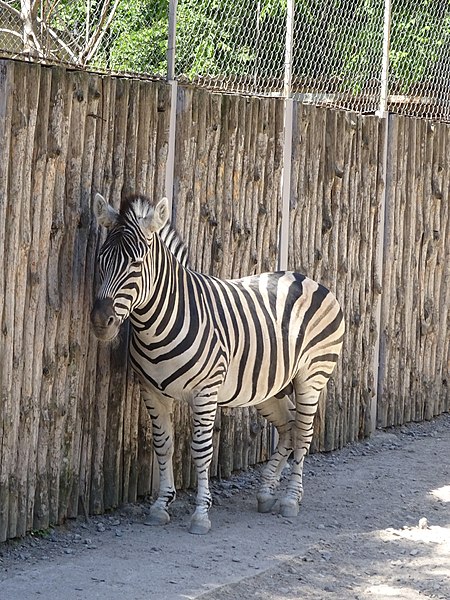 Odessa Zoo