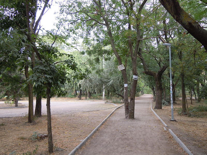 Luzanivka Hydropark