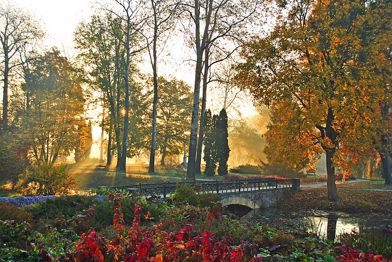 Parc Alexandria de l'Académie nationale des sciences d'Ukraine