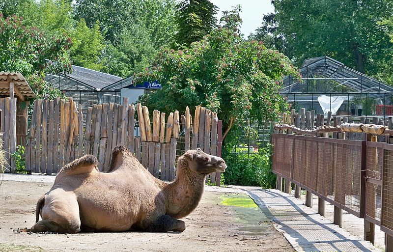 Parque zoológico de Kiev