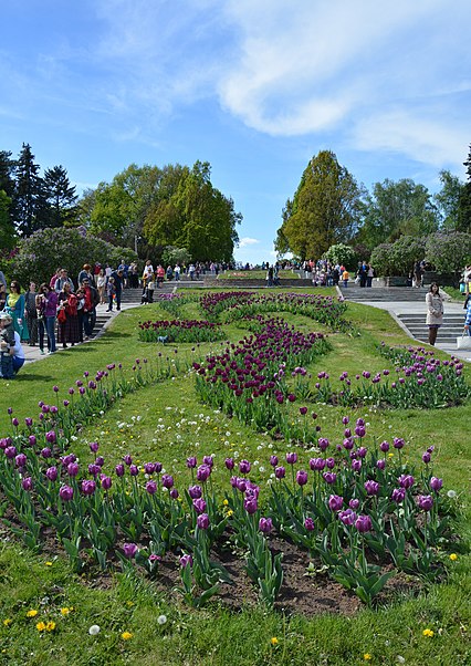 Nationaler Botanischer Garten Kiew