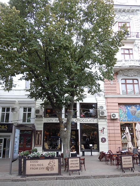 Deribasivska Street