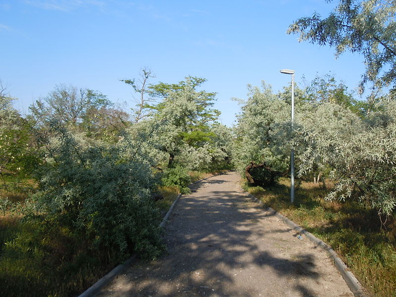 Luzanivka Hydropark