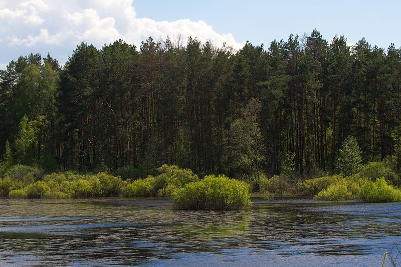 Anexo:Parques naturales nacionales de Ucrania