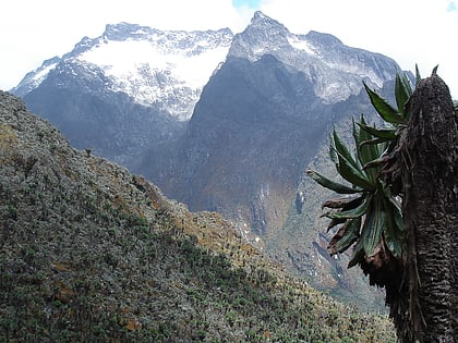 mount speke park narodowy rwenzori mountains