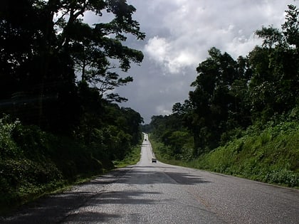Mabira-Wald