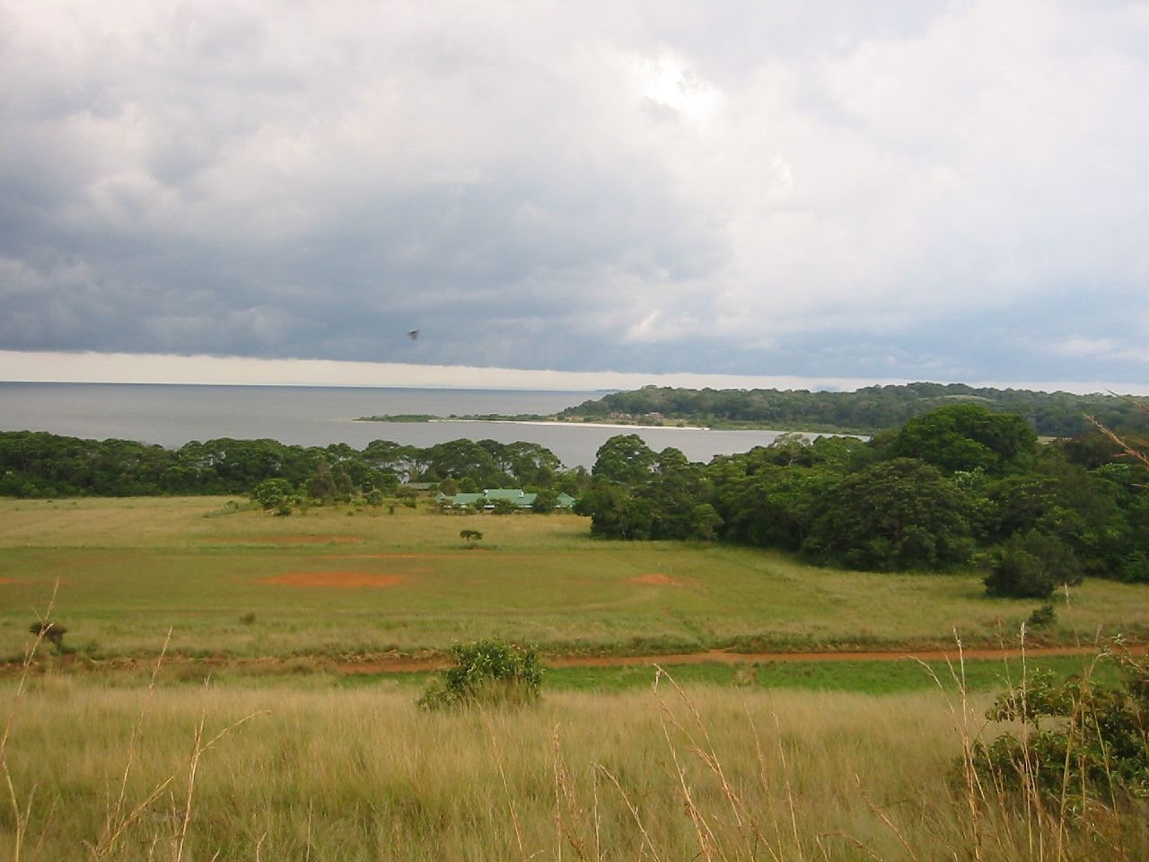 Île Bugala, Ouganda