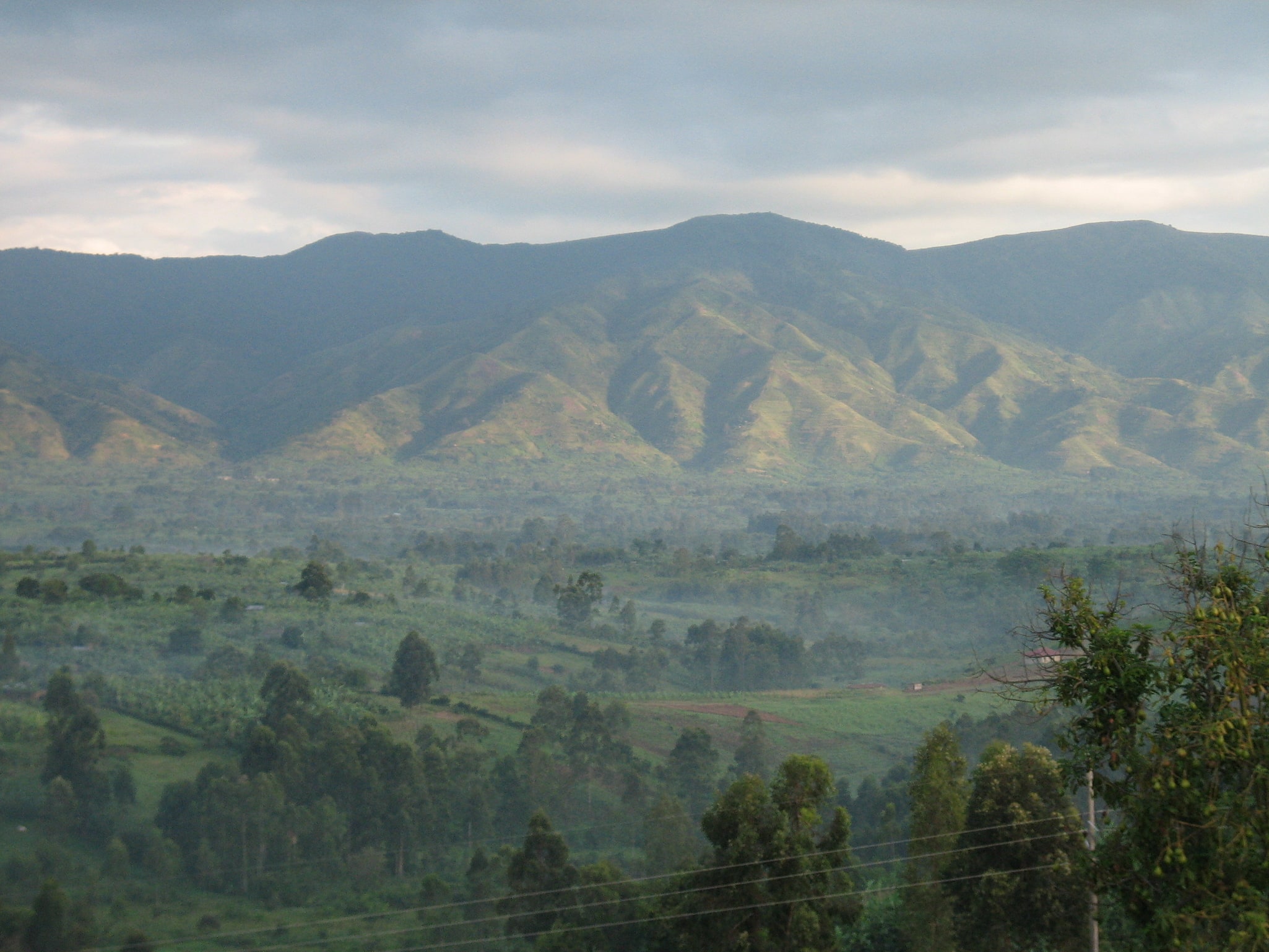 Parc national Rwenzori Mountains, Ouganda