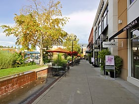 University Village