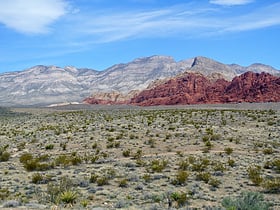area de conservacion nacional red rock canyon