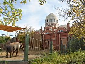 zoo i ogrod botaniczny cincinnati