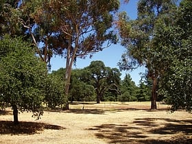 Arboretum de l'université Stanford