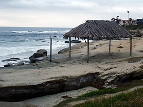 Windansea Beach