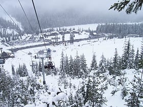 white pass ski area foret nationale dokanogan