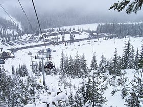 white pass ski area bosque nacional okanogan