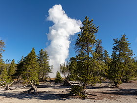 steamboat geyser parque nacional de yellowstone