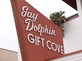 Gay Dolphin Gift Cove