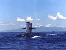 USS Tautog