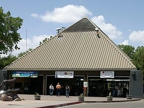 Rio Grande Zoo