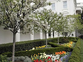 White House Rose Garden