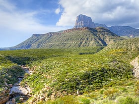 parc national des guadalupe mountains
