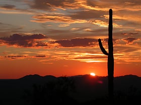 parque nacional saguaro
