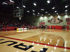 struthers fieldhouse youngstown