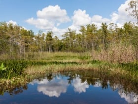 Big Cypress National Preserve