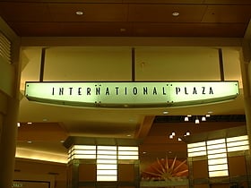 international plaza and bay street tampa